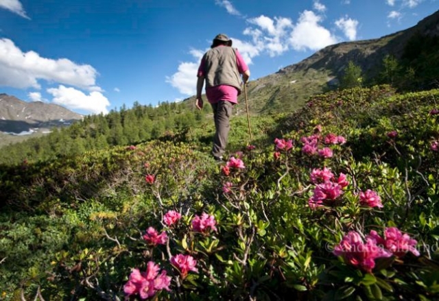  Explorando y caminando 